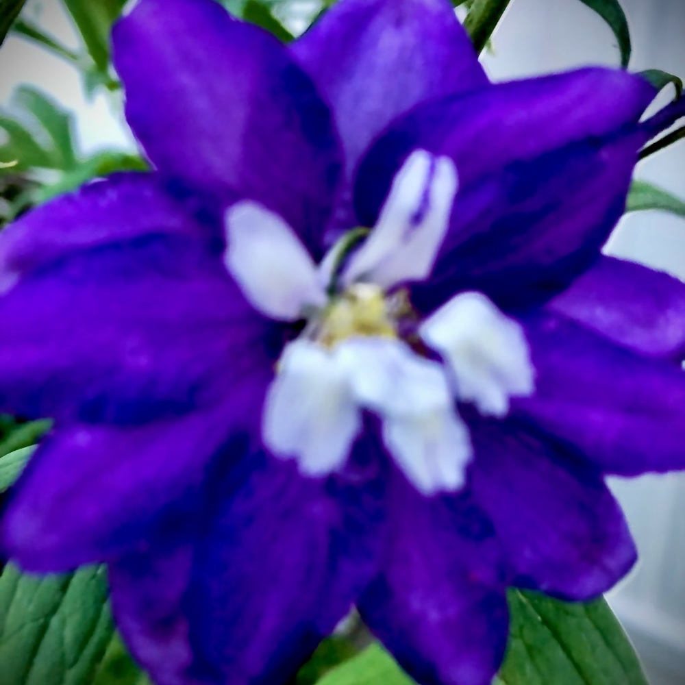 Meet your Posher, Sherri